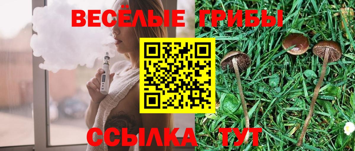 Псилоцибиновые грибы MAGIC MUSHROOMS Донской